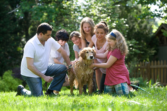 Why a pet is beneficial to your family's health