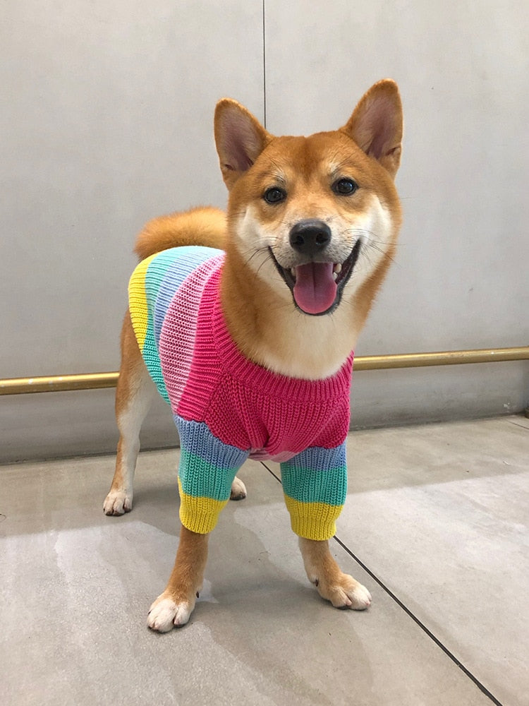 Knitted Rainbow Dog Sweater